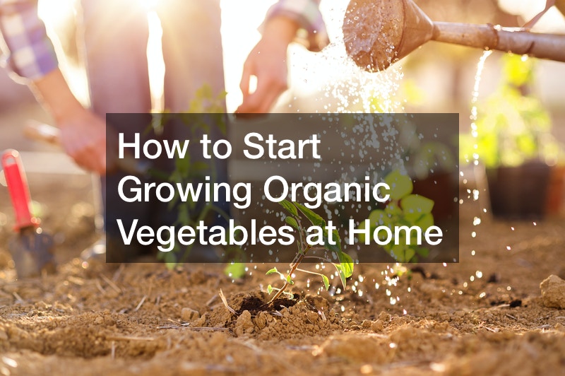 how to start growing organic vegetables at home